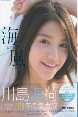 遗迹守护者